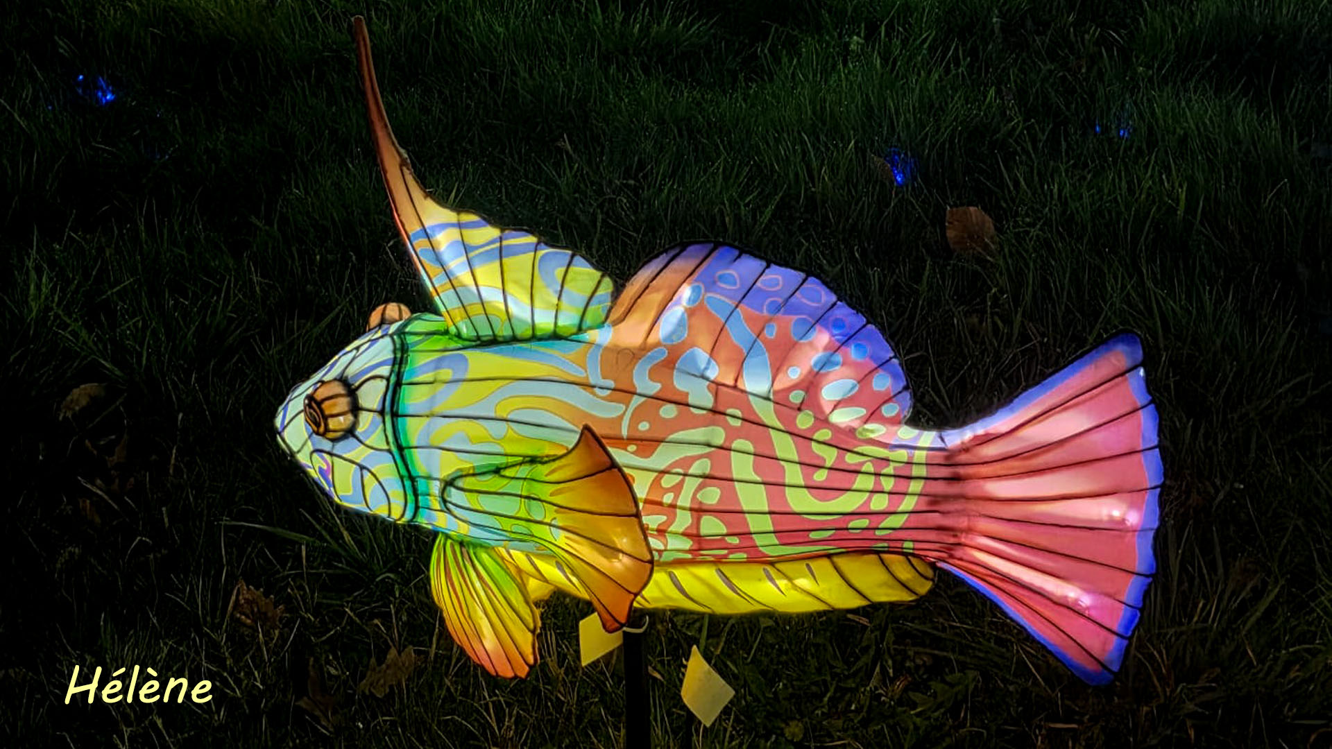 THOIRY -Illumination ,  Lumières sauvages 2025-2026